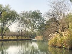 -西溪国家湿地公园