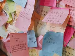 -古树酸奶(八廓南街店)