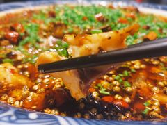 -新概念来凤鱼(璧山店)