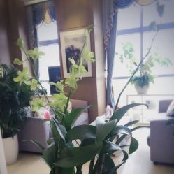 -北京米扬丽格医疗美容·联合丽格鼻整形中心