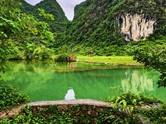 -靖西鹅泉风景区
