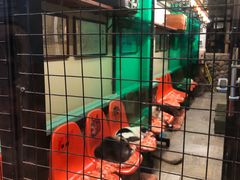 -猫咪博物馆(顶澳仔猫街店)