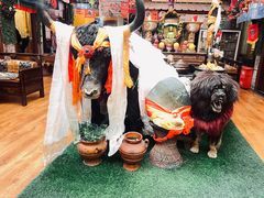 -吉祥圣雪藏餐