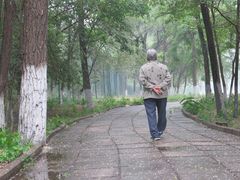 -顺鑫绿色度假村