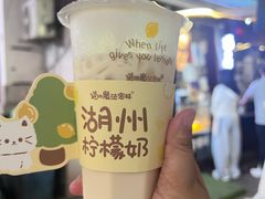 柠檬奶-猫的魔法密林(衣裳街店)