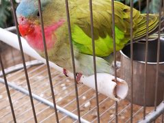 -南宫五洲植物乐园