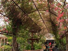 -The Grounds of Alexandria