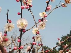 -白马涧龙池景区