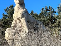 -帽儿山国家森林公园