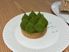 -猫里有甜