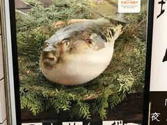 门面-玄品河豚(那覇國際通里之関)