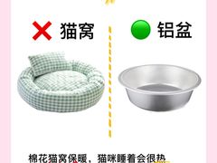 -守诺宠物医院·眼科· 特色牙科·异宠专科(虹口店)