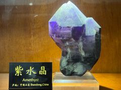 -青岛德国总督楼旧址博物馆