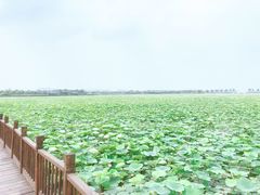 -天津东丽湖风景区