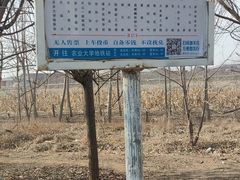 -东方鼎信农副产品交易中心
