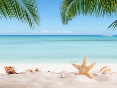 -咏春拳学总会·一拳咏春(双井店)