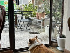 -肥朵食堂(带梦胡同店)