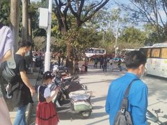 -西双版纳勐泐文化旅游区