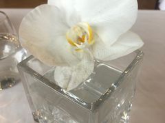 -我的四季意大利餐厅(春天百货店)