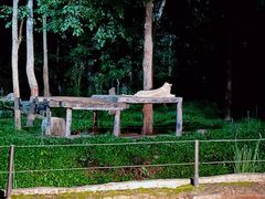 -清迈夜间动物园