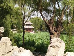 -莲池书院博物馆