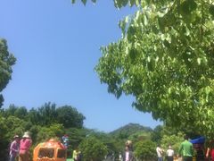 -杭州少年儿童公园