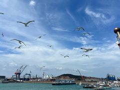 -海驴岛(荣成市)