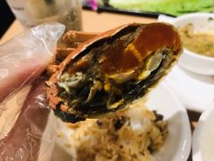 -旺小胖小龙虾
