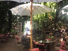 -Fern Forest Cafe