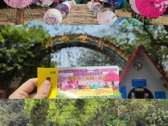 -南宁良凤江国家森林公园