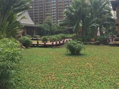 -亚马逊丛林水乐园