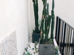 -大树餐厅(红旗街万达店)