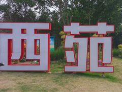 -西苑公园