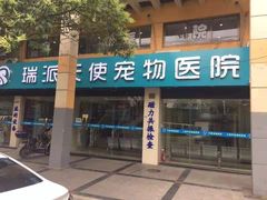 -瑞派天使宠物医院·神经外科·骨科·核磁(洛川中路店)