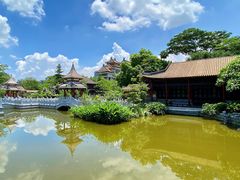 -顺峰山公园