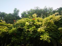 -东升八家郊野公园