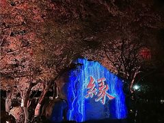 -杭州黄龙洞