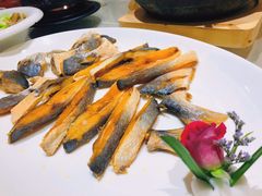 -锦粤宫·精致粤菜(深圳北站店)