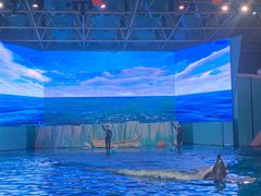 -海合安青岛极地海洋公园