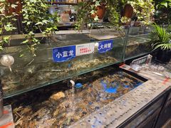 -亚马逊蒸汽活海鲜自助(LCM置汇旭辉广场店)