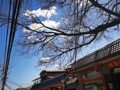 -香山公园