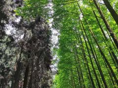 -山王坪喀斯特国家生态公园