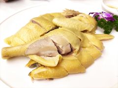 -东江渔村(皇悦店)