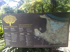 -墨尔本皇家植物园