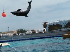 -秦皇岛乐岛海洋王国