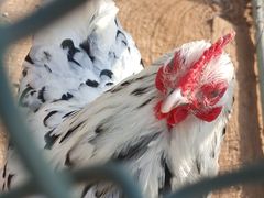 -秦皇岛野生动物园
