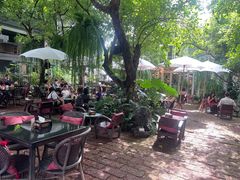 -Fern Forest Cafe
