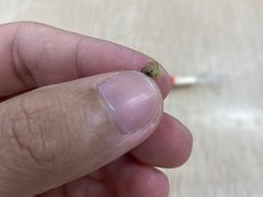 -兴兴旺·冬瓜盅·啫啫煲(西华路店)