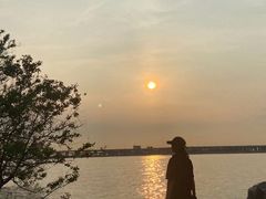 -宝安西湾红树林湿地公园