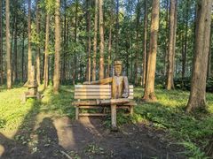 -黄海国家森林公园